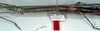 CollectionObject 1556949; NMW 75, afd5275d-2eac-4af4-8981-35733d0678a6: copyright NMW. female: head and thorax, lateral view (holotype). (CollectionObject).