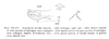 Acanalonia servillei Spinola, 1839: FIGS. 168-171. Acanalonia servillei Spinola. (168) Aedeagus, right side: (169) shorter branch of outer process of aedeagus more enlarged; (170) apical portion of inner process of aedeagus, more enlarged, slightly dorsolateral view; (171) apical portion of dorsal margin of genital style, lateral view. (Otu).