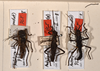 CollectionObject 1559944; 29388811-ae3e-4928-875d-63bb55b7a5ee: copyright OUMNH. synonym Bacteria bogotensis (paralectotypes). (CollectionObject).;CollectionObject 1559945; a00a39a0-cb2f-436a-b56c-b7e98a22e487: copyright OUMNH. synonym Bacteria bogotensis (paralectotypes). (CollectionObject).;CollectionObject 1559946; e50dc672-7404-4b79-96b8-f57871c7a498: copyright OUMNH. synonym Bacteria bogotensis (paralectotypes). (CollectionObject).