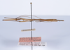 CollectionObject 1559336; 74dd9b6c-5bbe-4fe2-b63e-5c41c2e671a8: copyright ANSP. male, lateral view (holotype). (CollectionObject).