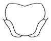 Decma (Idiodecma) birmanica (Bey-Bienko, 1971): Fig. 16. female subgential plate, ventral view. (Otu).