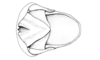 Ronderosia gracilis (Bruner, 1911): Fig. 4M. male, abdomen tip, dorsal view. (Otu).
