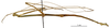 CollectionObject 1561499; 0d0563b2-b6f9-45fd-b0be-676f5501e533: copyright MNHN, Paris. male, lateral view of synonym Bacunculus digueti (holotype). (CollectionObject).