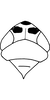 Head: Head and thorax. (Observation).