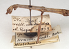CollectionObject 1557921; 6f6e0c16-9c5f-4351-b57e-698b010705fb: copyright St. Petersburg. female, head & thorax, lateral view of synonym Gratidia aliena (syntype). (CollectionObject).