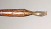 CollectionObject 1560484; f6603ba9-6a6d-4e43-8072-c0f24cf37d24: copyright Natural History Museum, London. female: end of abdomen, ventral view (paralectotype). (CollectionObject).