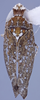 Habitus, dorsal view: !! display not done !! on Scaphytopius n.sp.MX1: Scaphytopius Ball, 1931: INHS. (Observation).