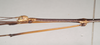 CollectionObject 1561631; NHMUK(SF IMPORT DUPLICATE) 845007, 6d908bde-6437-4ee8-8183-895f127ccbe0: copyright Natural History Museum, London. male: head and thorax, lateral view (holotype). (CollectionObject).