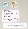 CollectionObject 1559744; 6d4dd64e-e290-4b65-838e-4d78707a72fd, NHMUK(SF IMPORT DUPLICATE) 845073-845074: copyright Natural History Museum, London. female, data labels [round label reversed] (paralectotype). (CollectionObject).