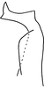 Stylus: !! display not done !! on Eratoneura ballista (Beamer, 1932): Stylus (holotype). (Observation).