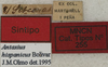 CollectionObject 1535946; 2747b89e-ab81-4039-a546-ed68069faddd: labels (female syntype). (CollectionObject).