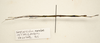 CollectionObject 1591073; 9a3943e1-7618-4494-ae51-755105f9d4d9: copyright MBBJ Bogor. male, lateral view (holotype). (CollectionObject).