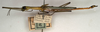 CollectionObject 1560556; NMW 743, 995663b3-587b-46a5-955a-960f39ed8d4e: copyright NMW, Vienna. male, lateral view (holotype). (CollectionObject).