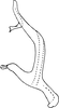 Aedeagus, lateral view on Asymmetrasca kaicola (Dworakowska, 1982): Aedeagus, lateral view. (Observation).