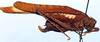 Tropidophrys amydra Karsch, 1896: female, lateral view (Cameroon, Efulen). (Otu).