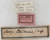CollectionObject 1533014; 560ef361-7453-4b90-8710-1739ebaf32d0: labels. (CollectionObject).