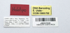 CollectionObject 1599762; MNCR 3,783,384, 1c18b6d4-0e60-42c4-b807-005c8518d04f: copyright MNCR. female, data labels (holotype). (CollectionObject).