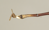 CollectionObject 1557022; NHMUK(SF IMPORT DUPLICATE) 844501, 7768f1ed-e210-4358-8bb3-8d93692ac372: copyright Natural History Museum, London. male: end of abdomen, ventral view (holotype). (CollectionObject).