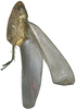 Habitus, dorsal view on Asymmetrasca lutowa (Dworakowska, 1971): Habitus. (Observation).