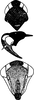Head: !! display not done !! on Ramania javaica Dworakowska, 1972: Head, pro-, and mesothorax. (Observation).