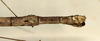 CollectionObject 1557250; 302a083a-774c-4f5c-9d11-d9283a86b667: copyright ZMUH, Hamburg. female: head and thorax, lateral view of synonym Carausius australicus (paralectotype). (CollectionObject).