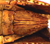 Other: !! display not done !! on Acuera (Acuera) incepta DeLong & Freytag, 1974: Female specimen [DZUP]: distal portion of abdomen, ventral view. (Observation).
