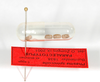 CollectionObject 1563677; 7583ca73-6234-4642-8f83-e92987858c7c: copyright ZMB, Berlin. eggs from female (paralectotype). (CollectionObject).