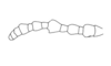Aptoceras signatus Descamps, 1976: Fig. 32. female, antenna. (Otu).