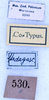 CollectionObject 1534691; d2e69594-0070-481d-9ad7-6e7d6a92a85a: labels (syntype). (CollectionObject).