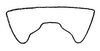 Ovipositor: Sternite VII. (Observation).