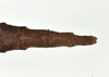 CollectionObject 1598198; 7ccb4a25-dbc4-4e46-a2c2-890ff09c27dd, QM T246607: copyright QM. female: end of abdomen, dorsal view (holotype). (CollectionObject).