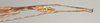 CollectionObject 1562736; 6388627c-f20c-48b1-bd8e-f602d4ccb5ef: copyright QMBA. male: end of abdomen, ventral view (holotype). (CollectionObject).
