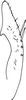 Subgenital plate: Subgenital plate. (Observation).