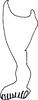 Stylus on Capoideus cuprescens (Naudé, 1926): Stylus. (Observation).