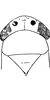 Head: !! display not done !! on Sagatus punctifrons (Fallén, 1826): Head, pro-, and mesothorax. (Observation).