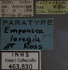 Other: !! display not done !! on Empoasca (Empoasca) loregia Ross, 1959: Labels. Labels for the specimen used for the dorsal, lateral and face images. (Observation).