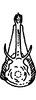 Aedeagus, ventral view: Aedeagus (M. chimera Dwor.), ventral view. (Observation).
