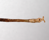CollectionObject 1558347; 233e2e3a-59b8-4308-92ca-eb7f4328a712: copyright ZMHB, Berlin. male: end of abdomen, dorsal view (holotype). (CollectionObject).