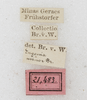 labels. Depicts CollectionObject 1531557; 11e2c9ee-e25a-493f-ad63-b58006e8530c, a CollectionObject.