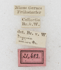 CollectionObject 1531557; 11e2c9ee-e25a-493f-ad63-b58006e8530c: labels. (CollectionObject).