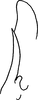 Pygofer, dorsal view: Pygofer, dorsal view. (Observation).