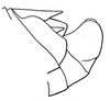 Lithidiopsis carinatus Dirsh, 1956: Fig. 23. male abdomen tip, lateral view. (Otu).