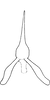 Connective on Anufrievia akazu (Matsumura, 1932): Connective. (Observation).