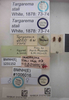 CollectionObject 1593572; 0389b3f1-b8fb-4b58-9571-9d6a0f9b5e65: Targarema stali. Paralectotype; Lectotype. (BMNH) - (CC BY-NC 4.0) Photo by Stuart Cole, reproduced with permission from the Natural History Museum, London, UK. (CollectionObject).