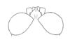 Ixalotettix compactus Amédégnato & Descamps, 1979: Fig. 43. male head, dorsal view. (Otu).