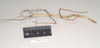 CollectionObject 1557401; c6288489-e451-425b-9db5-50f4ddcef3cf: copyright Natural History Museum, London. male, lateral view of synonym Hyrtacus carinatus (syntype). (CollectionObject).;CollectionObject 1557402; 4e4ceb52-ad05-4ec8-8f96-df79008f9fb4: copyright Natural History Museum, London. male, lateral view of synonym Hyrtacus carinatus (syntype). (CollectionObject).