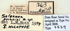 CollectionObject 1552896; 12548f3e-9795-4199-949c-b2a8ba16a363: Photo by Heidi Hopkins. labels. (CollectionObject).