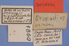CollectionObject 1513708; MLP1860/1-2, c181552b-aac6-4fd5-aca2-d7ee7c0ddb82: labels (paratype). (CollectionObject).