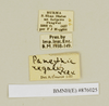 CollectionObject 1572989; de17e8ad-3df4-42b6-bda0-98614430edfd: Copyright Natural History Museum, London. Labels from non-type (female nymph) in BM(NH). (CollectionObject).