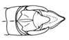 Phaeoparia lineaalba lineaalba (Linnaeus, 1764): Fig. 10 a. male abdomen end, ventral view. (Otu).